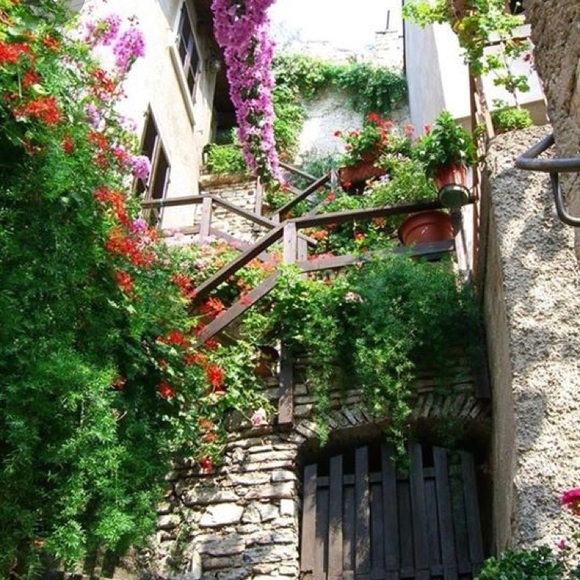 FEEDBACK 💕🌺 - Picture 8 of 8